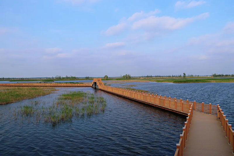 白洋淀長廊 白洋淀長廊.jpg