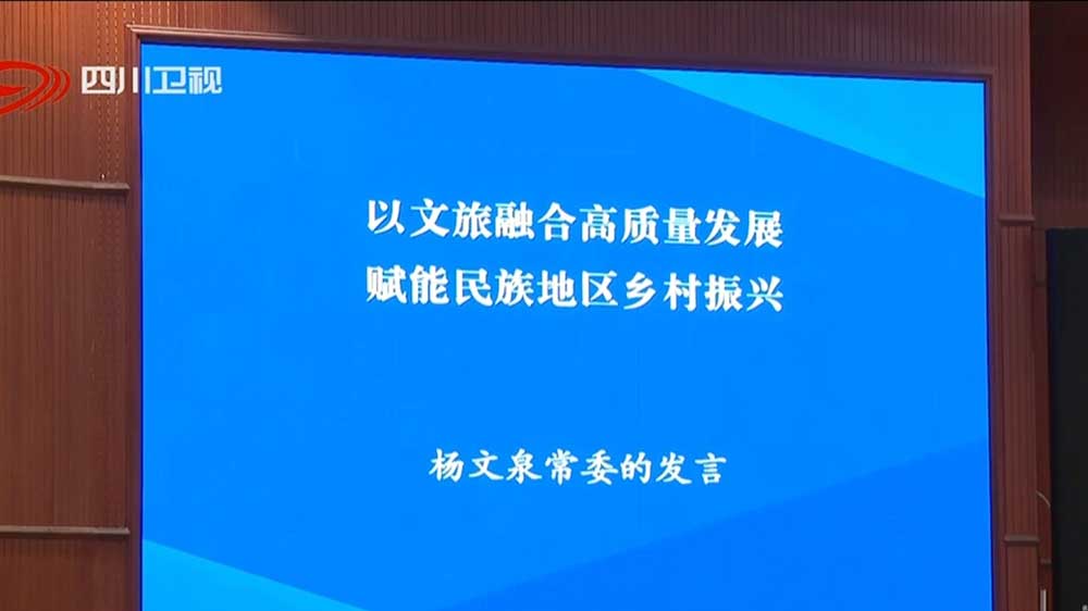 楊文泉常委發(fā)言.jpg